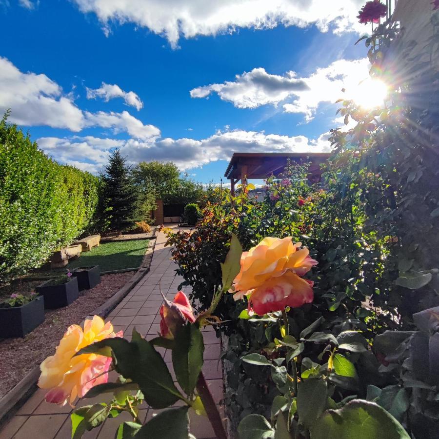 Casa Rural Pico De Los Haces โซรีอา ภายนอก รูปภาพ
